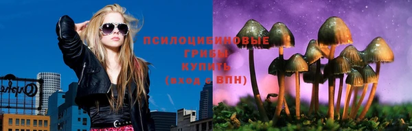 твердый Медногорск