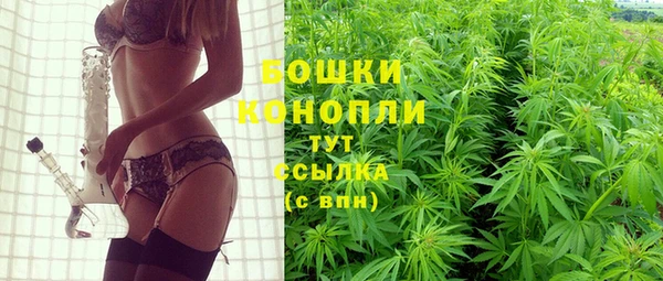 твердый Медногорск