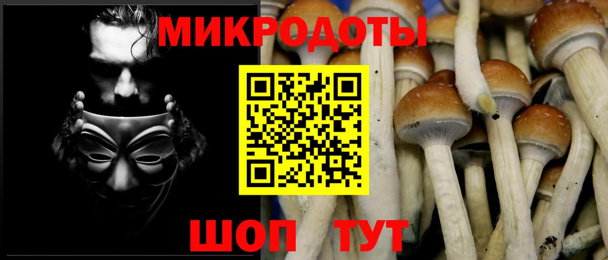 Галлюциногенные грибы мицелий Борзя